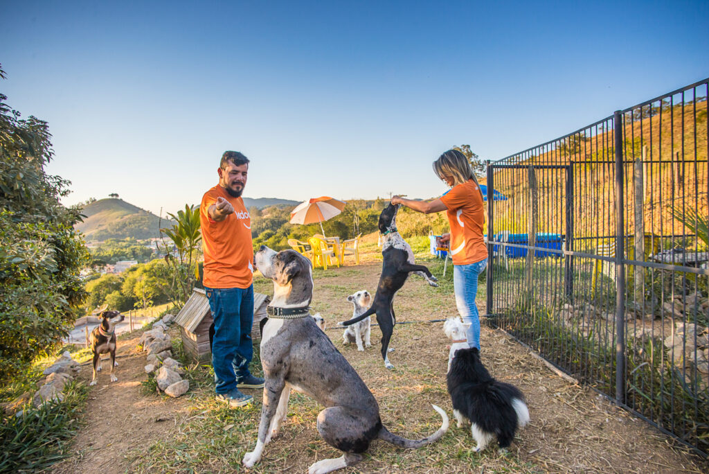 Kico e Letícia com os cães no Ledog